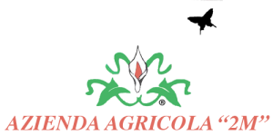 Logo Azienda Agricola "2M"