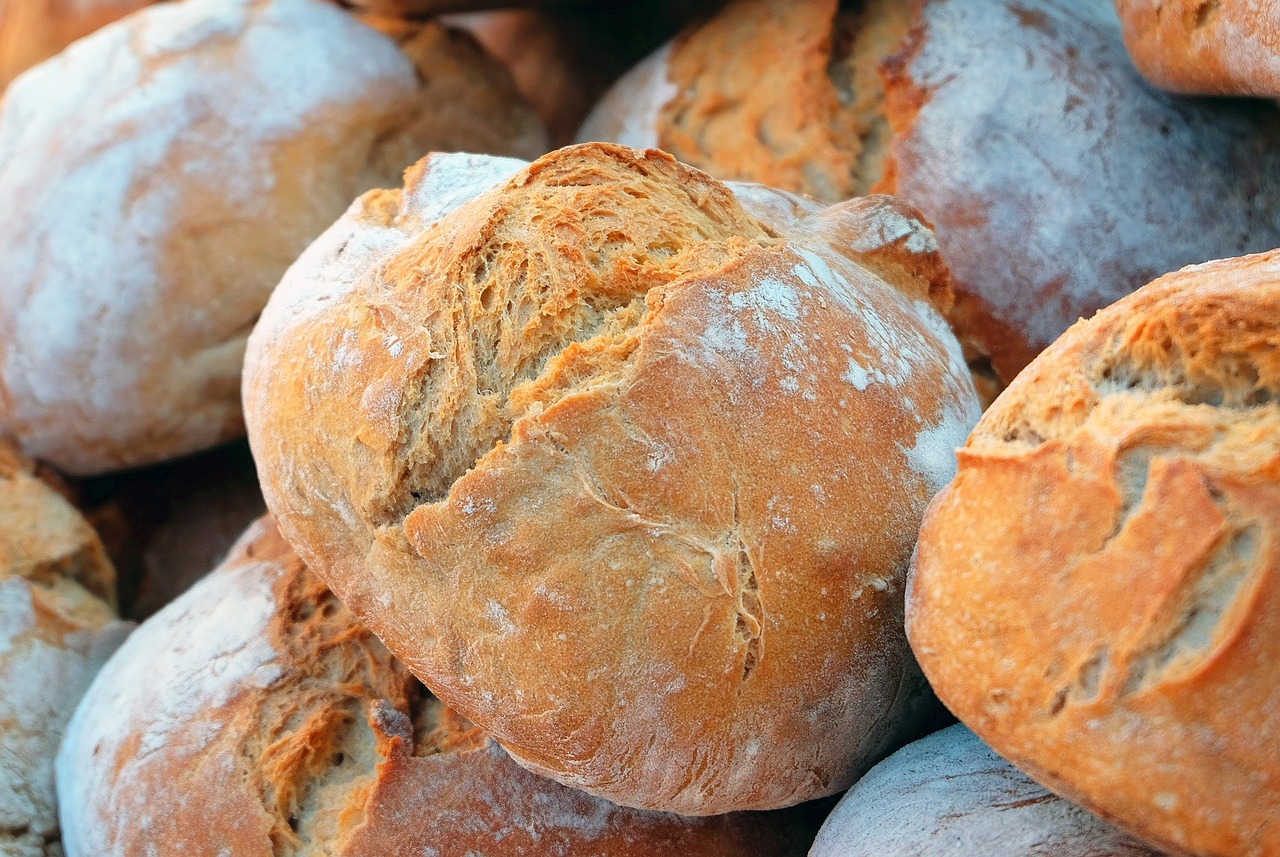 Properties and benefits of bread