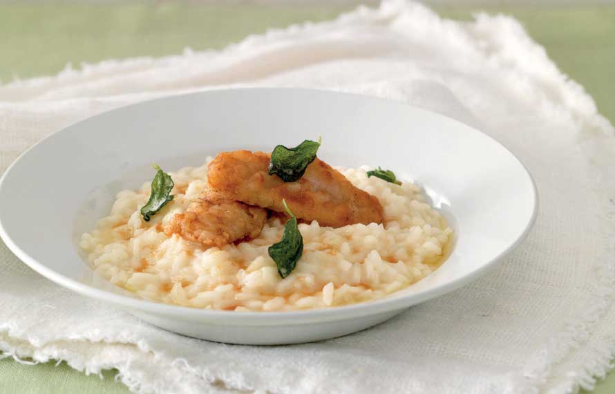 Risotto with perch fillet