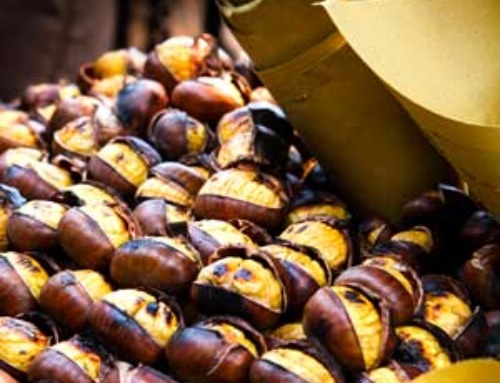 Chestnuts – the symbol of autumn